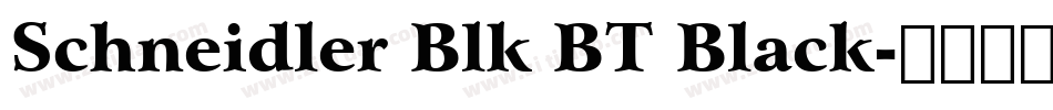 Schneidler Blk BT Black字体转换